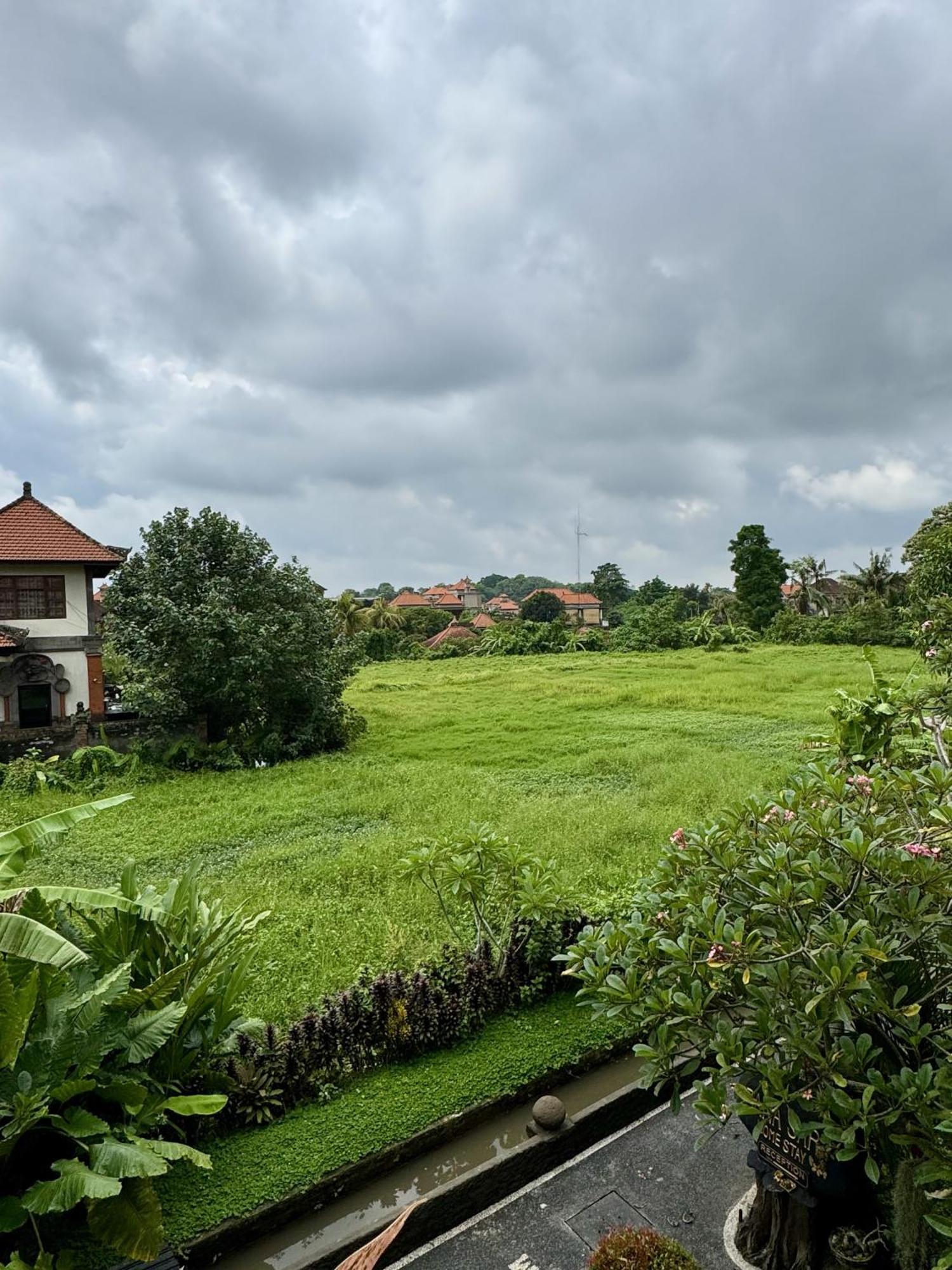 Danasari Homestay Ubud  Exterior photo
