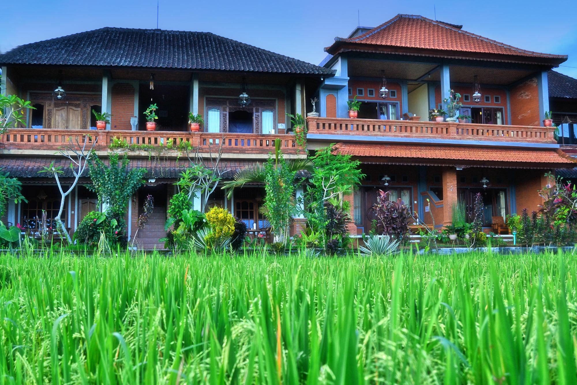 Danasari Homestay Ubud  Exterior photo